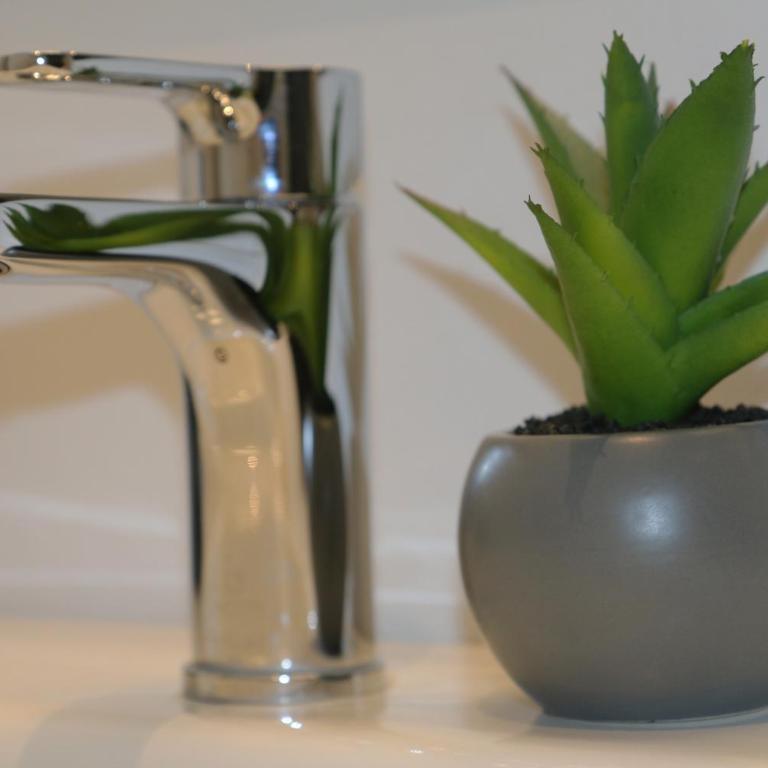 Apartamento Daniela - Apartment - Ground Floor - 36