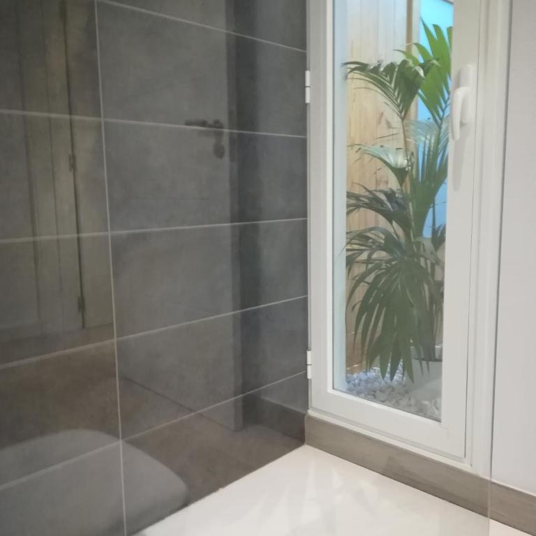 Apartamento Daniela - Apartment - Ground Floor - 35