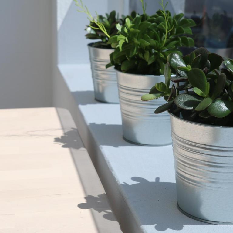 Apartamento Daniela - Apartment - Ground Floor - 40
