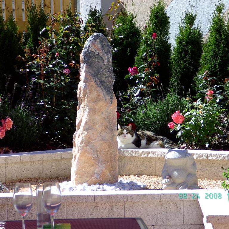 Apart la Montagnia - Studio - 16