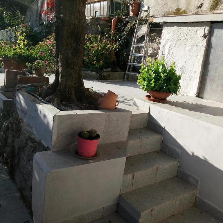 Villa Patrizia - Appartamento Deluxe - 32