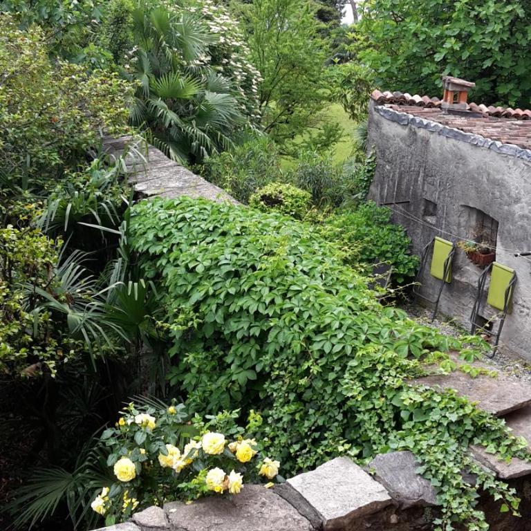 Appartamenti Raineri - Appartamento con 2 Camere da Letto e Balcone - 1
