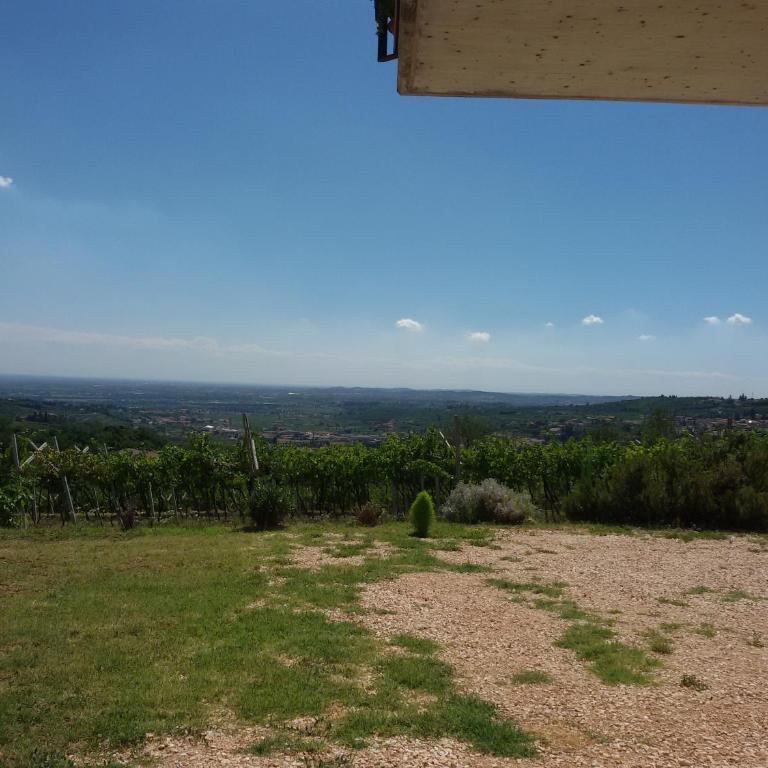 Magitti appartamento - Appartamento - 1