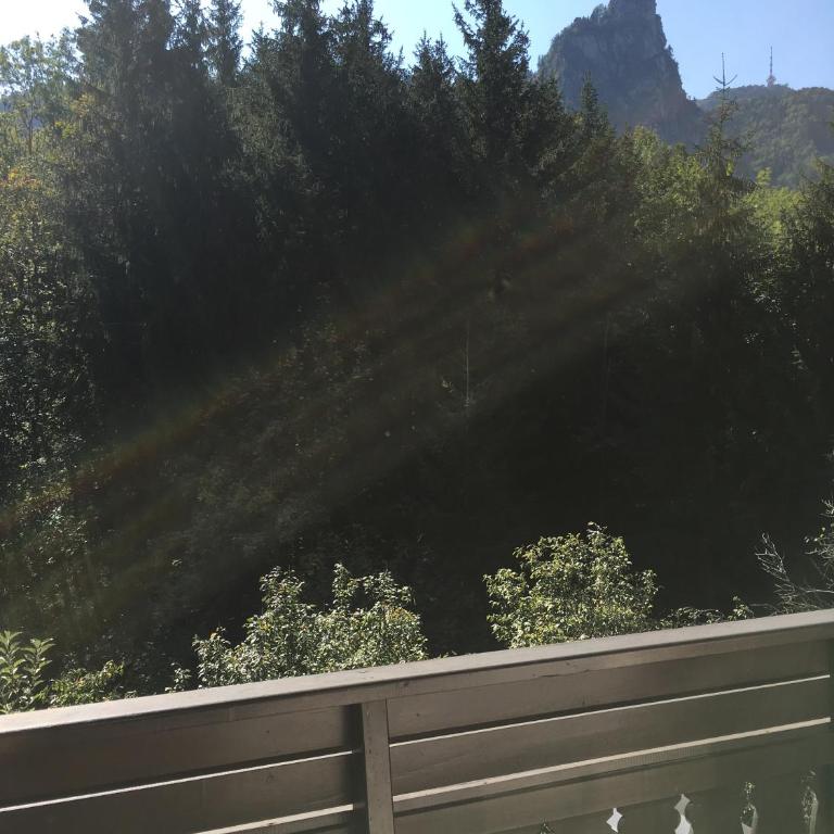 Pension Nocksteinblick - Doppelzimmer mit Balkon - 8