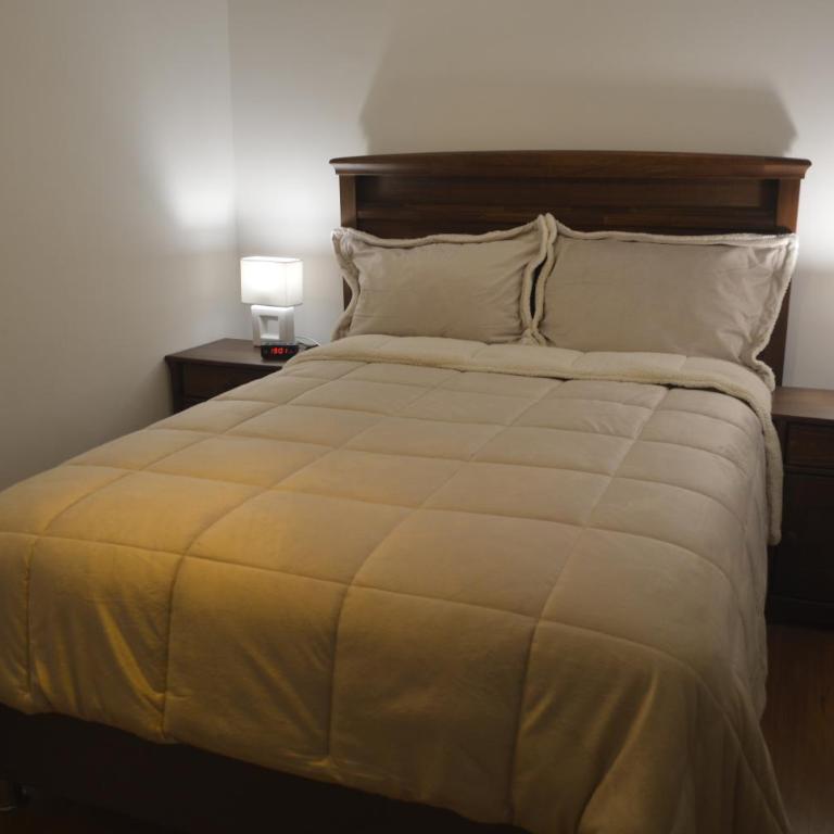 Amelita Hotel Boutique - Habitación Superior - 1 cama grande - 1