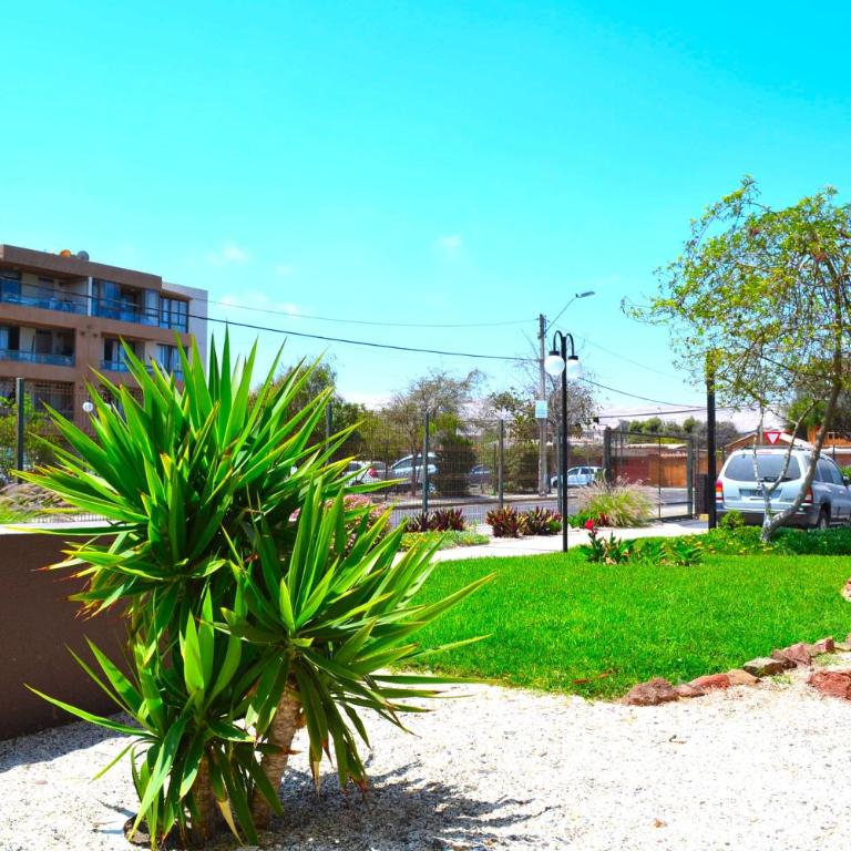 Apartamentos Alma Socoroma - Apartment - 38
