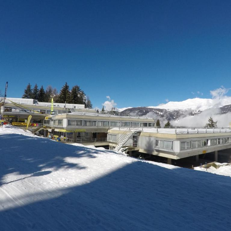 Marilleva 1400 Appartamenti Montana - Monolocale (2 Adulti) - 20