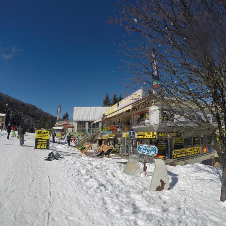 Marilleva 1400 Appartamenti Montana - Monolocale (2 Adulti) - 19