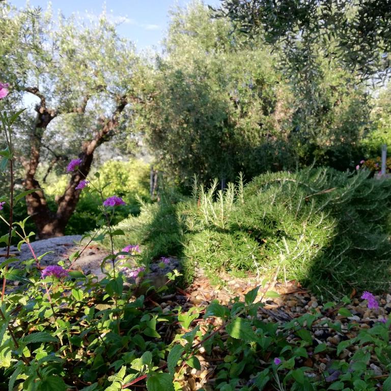 Sugli Allori - Casa Vacanze - 2