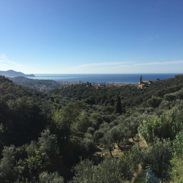 Casa Lavanda - Monolocale - 9