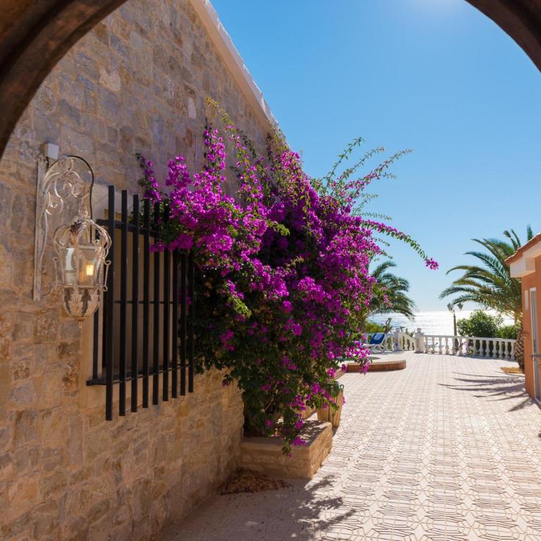 Stunning Villa Carichel Blanc - Villa - 2