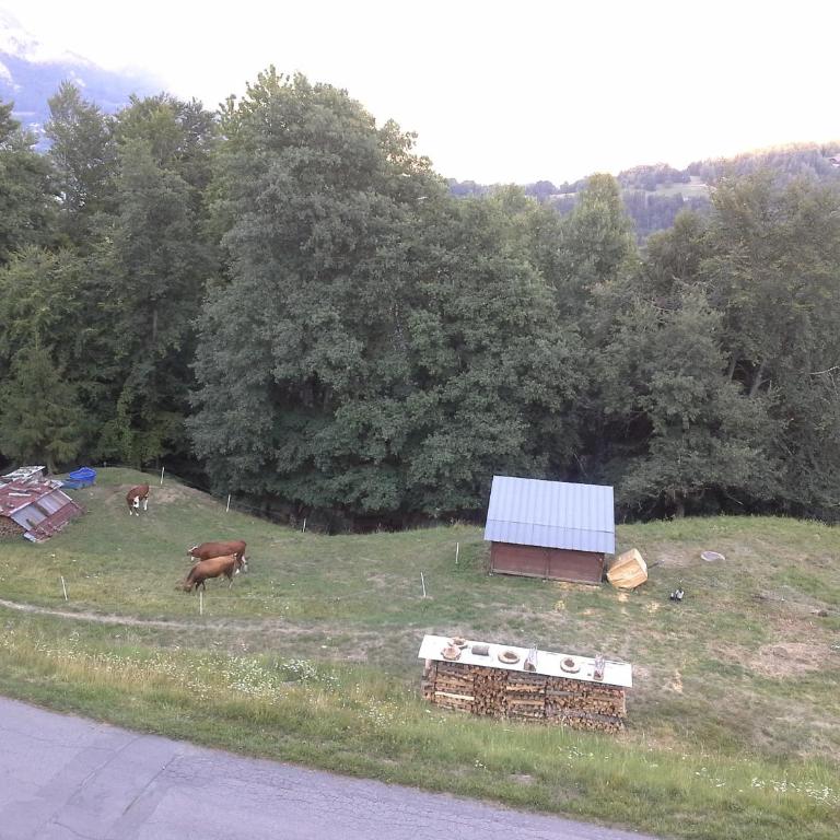 Cordon Balcon Du Mont Blanc - Appartement - 24