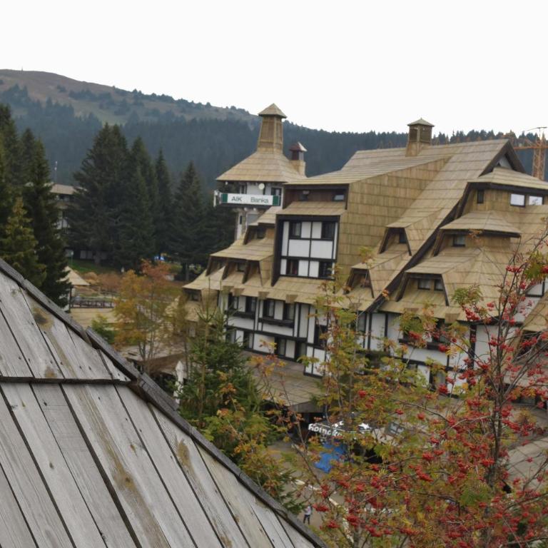 Apartment Ski Star Konaci - Apartment with Mountain View - 24
