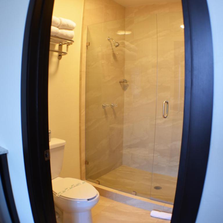 Hotel America - Deluxe Suite with Spa Bath - 2