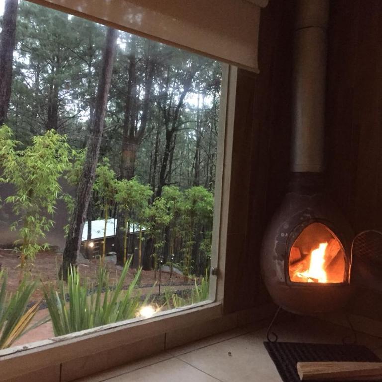 Rincon de Maria Mazamitla - Estudio con cama extragrande y sofá cama - 2