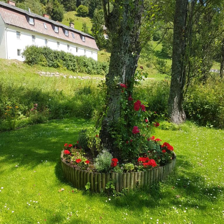 Riverside Ski Apartment - Apartment - 40