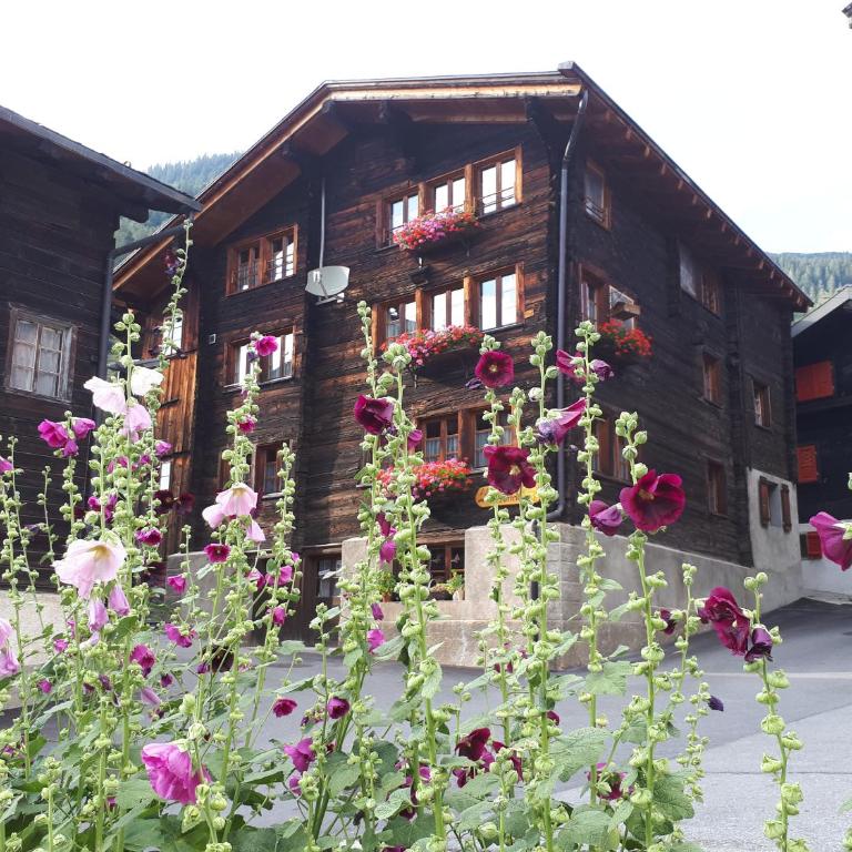 Alpensonne - Apartment mit Blick auf die Berge - 28