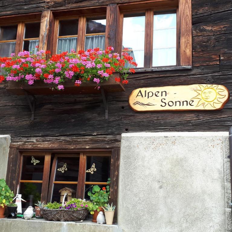 Alpensonne - Apartment mit Blick auf die Berge - 29