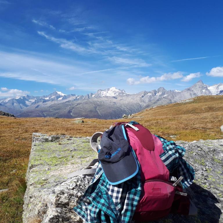 Alpensonne - Apartment mit Blick auf die Berge - 58