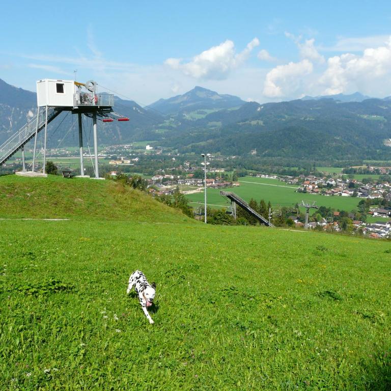 Ferienwohnung 20 Bergschlößl Oberaudorf - Apartment - 31