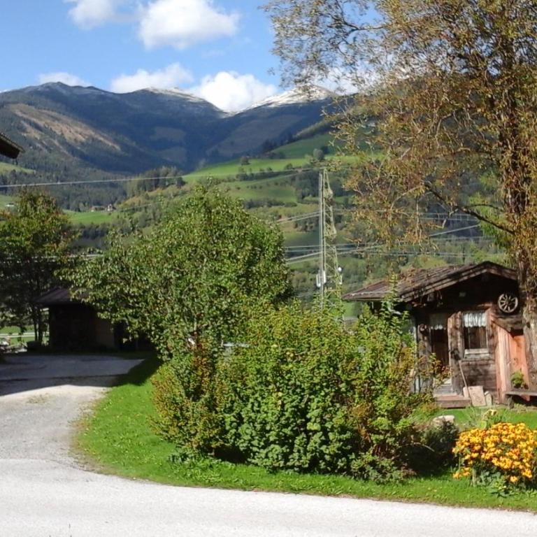 Landhaus Ganzer - Apartment - Ground Floor - 30