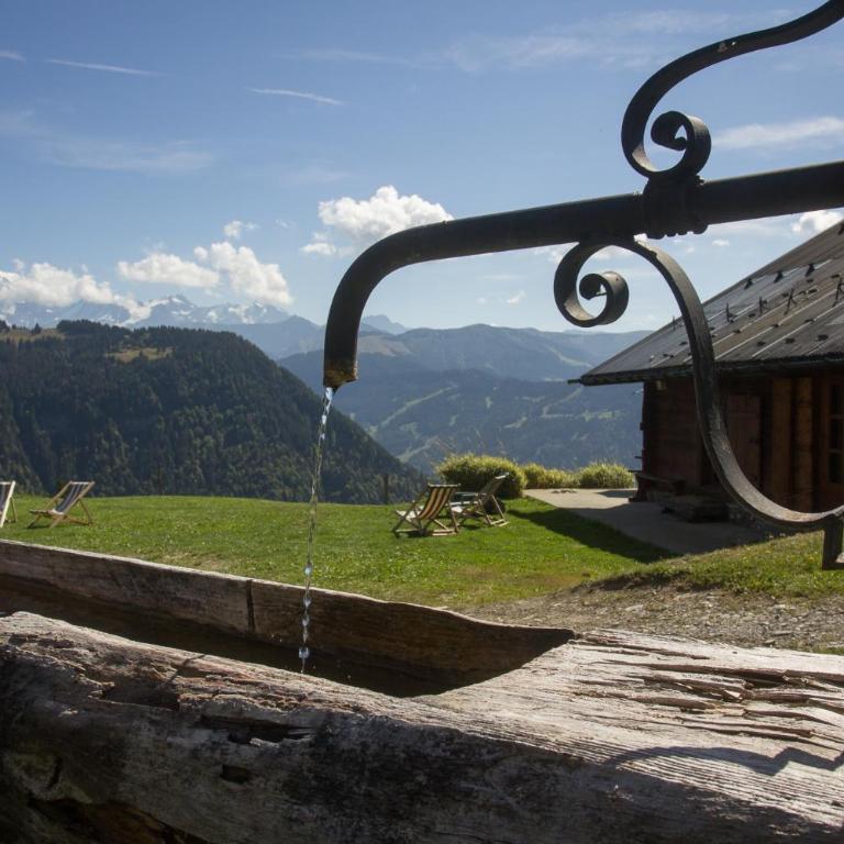 Reine des Aravis - chalet isolé - Chalet - 17