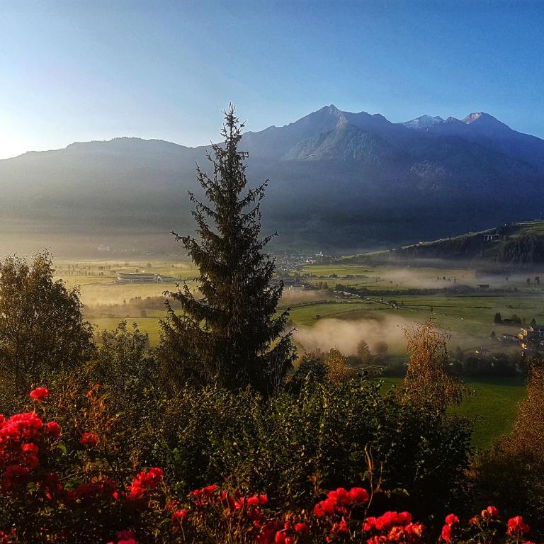 Mountain Chalet Juwel near Zell am See Kaprun - Superior Chalet - 39