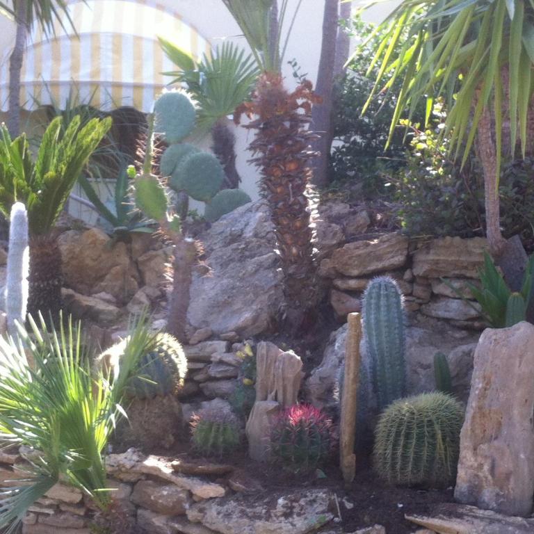Casa Vacanze Surriano - Two-Bedroom House - 10