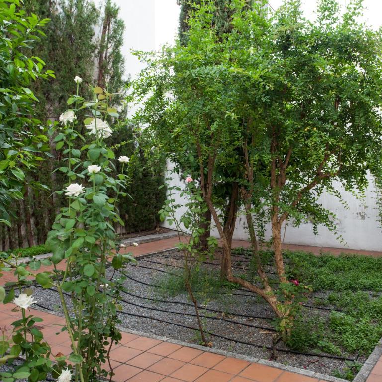 Apartamento De Lujo En Antiguo Convento - Apartment - 23