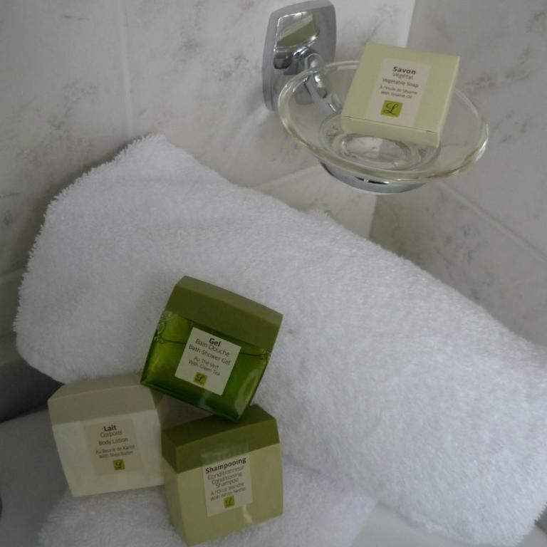 Logis Hôtel Villa Victorine - Chambre Simple - 4