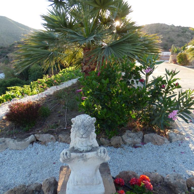 Villa Mi Sueño Nature Pool & Open Skies 3B - Villa - 15