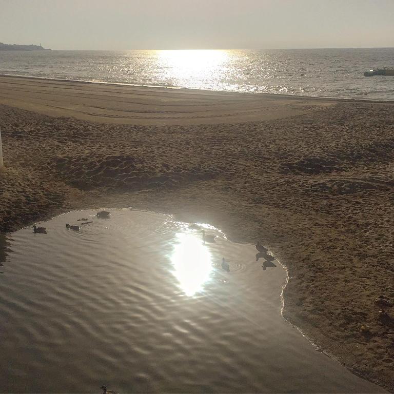 Arruzafa Front Beach - Free Parking - Apartamento con vistas al mar - 22