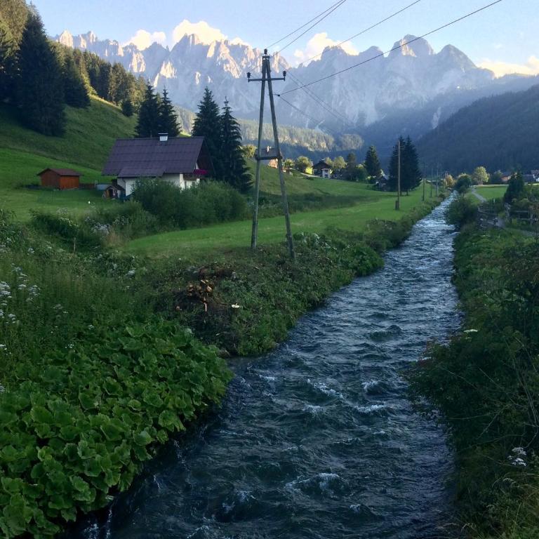 Dachstein Mountainview Gosau - Appartamento - 42
