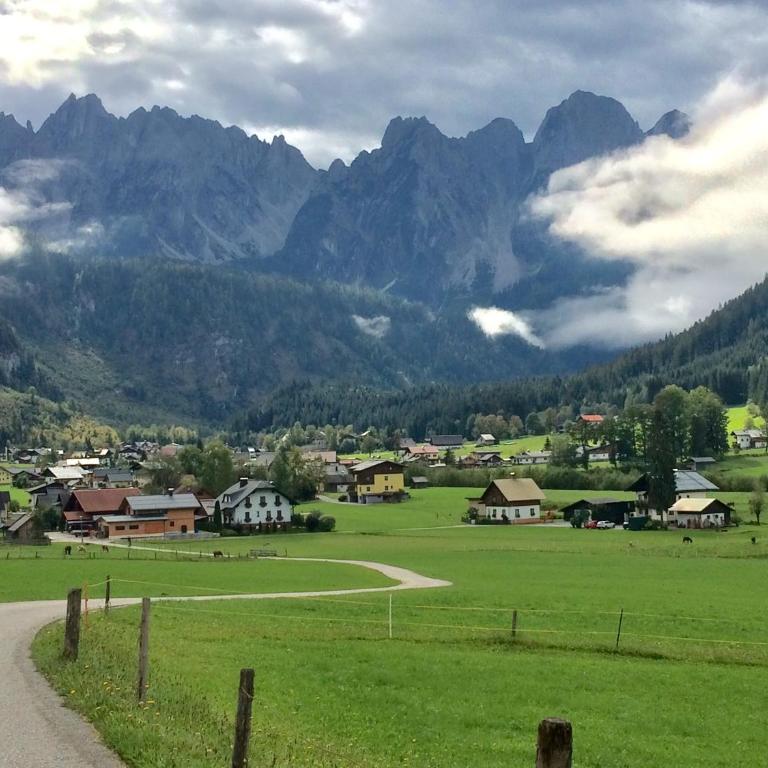 Dachstein Mountainview Gosau - Appartamento - 1