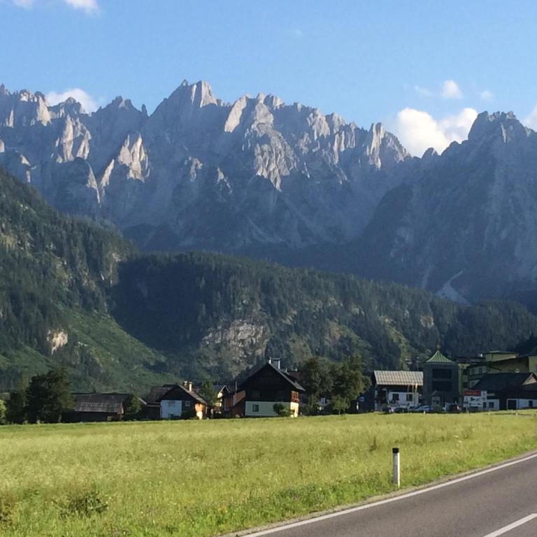 Dachstein Mountainview Gosau - Appartamento - 34