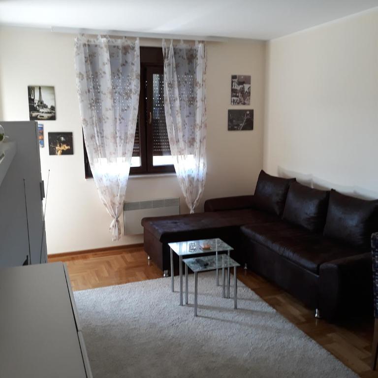 ZLATIBOR 2018 SPA i Wellness - Apartment - 11
