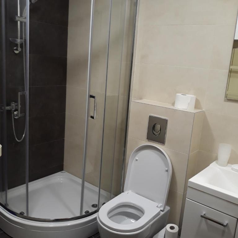 ZLATIBOR 2018 SPA i Wellness - Apartment - 15