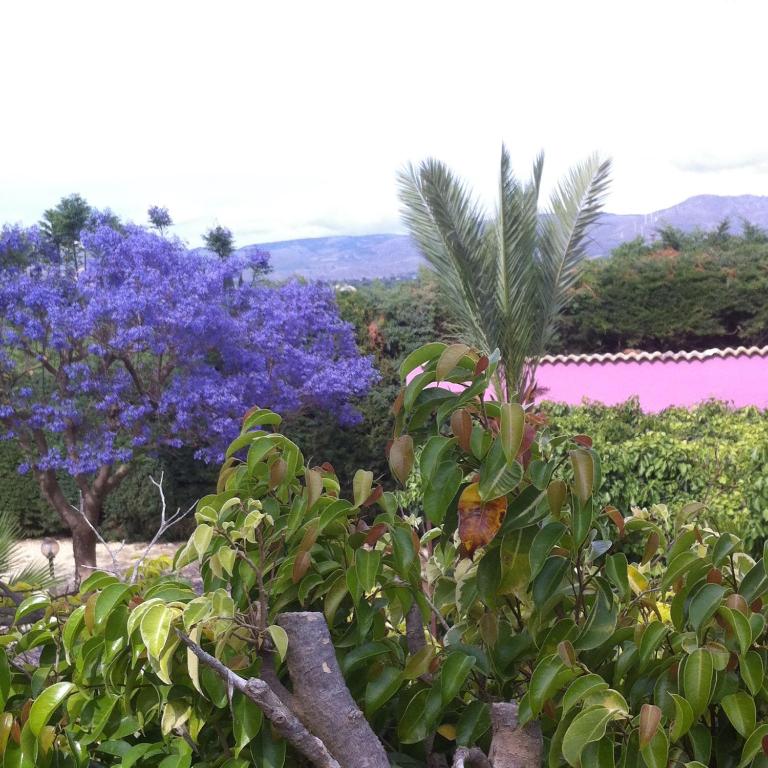 Casa Vacanze Surriano - Two-Bedroom Townhouse - 14