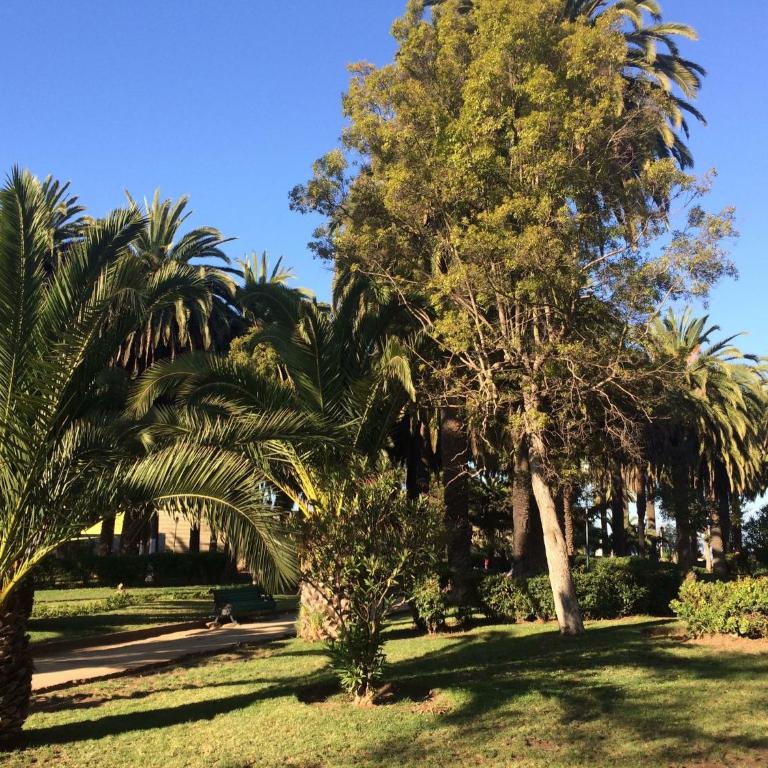 Dpto Viña del Mar - Apartment with Sea View - 13