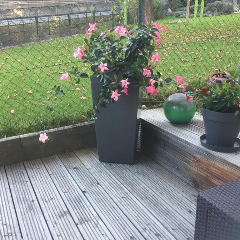 Alexander - Apartment mit Terrasse - 18