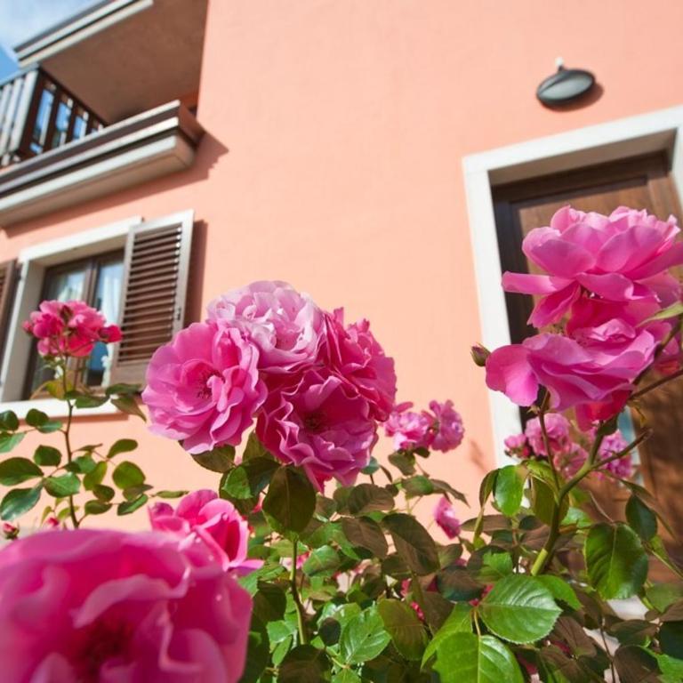 Casa Martinelli - Apartment mit 2 Schlafzimmern - 3