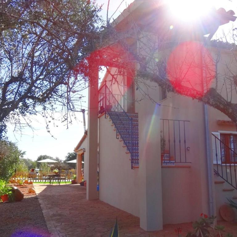 Son Antem - Villa con piscina privada - 22