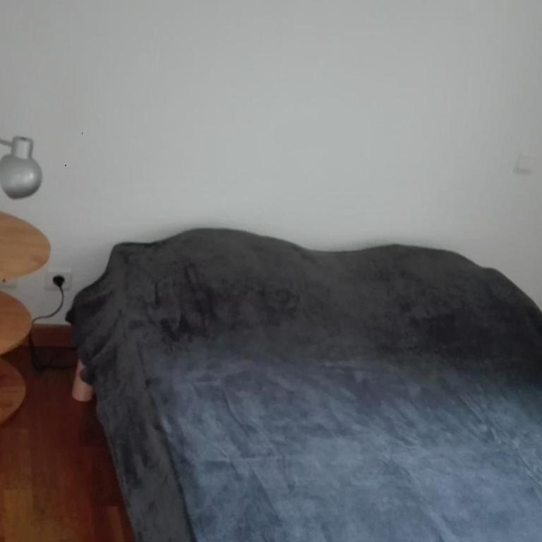 Charmant T2 avec cabine fermée et terrasse - Apartment - 5