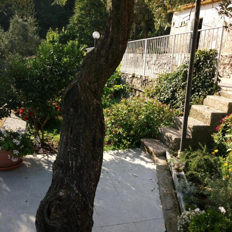 Villa Patrizia - Appartamento Deluxe - 30