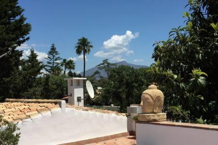 Villa with Heated Pool and Jacuzzi close to Puerto Banus and Beach - Villa de 3 dormitorios - 46