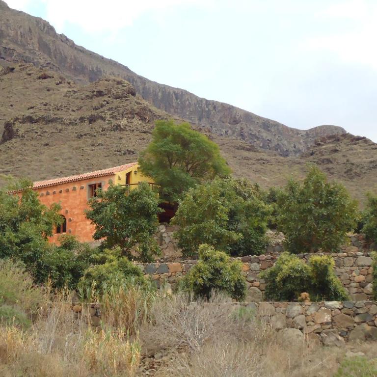 Finca Los Dioses I - Casa - 33