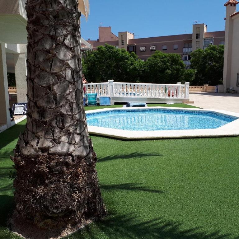 Apartamento Costa Azahar - Apartamento con vistas a la piscina - 9