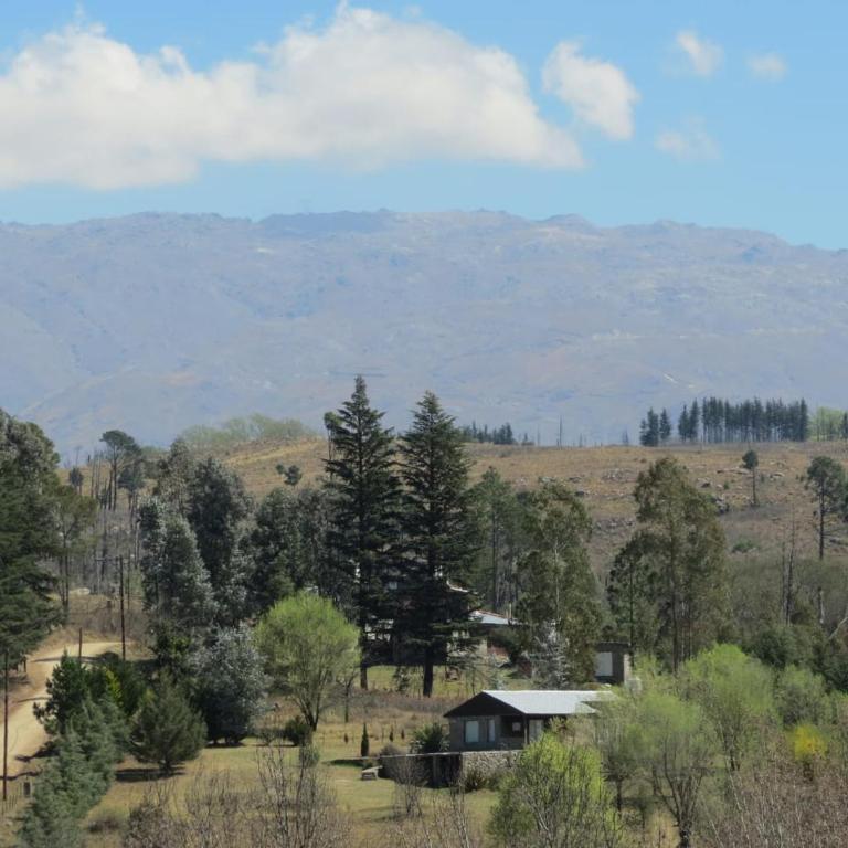 Libertad - Casa de 2 dormitorios - 35
