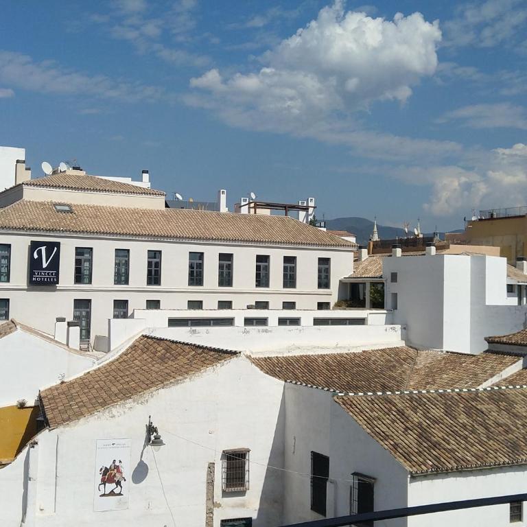 Bohemia en El Centro de Malaga - Apartamento Superior - 65