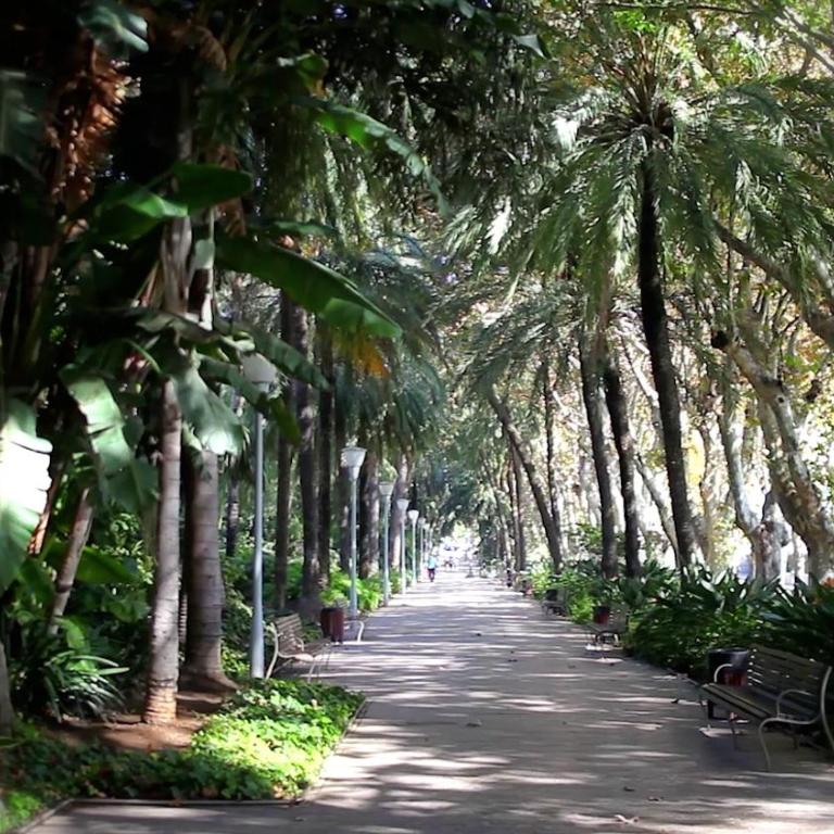 Picasso Premium Apartment - Apartamento - 99